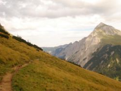 2013-09-08_6Falkenh-Steinfalk (007).JPG